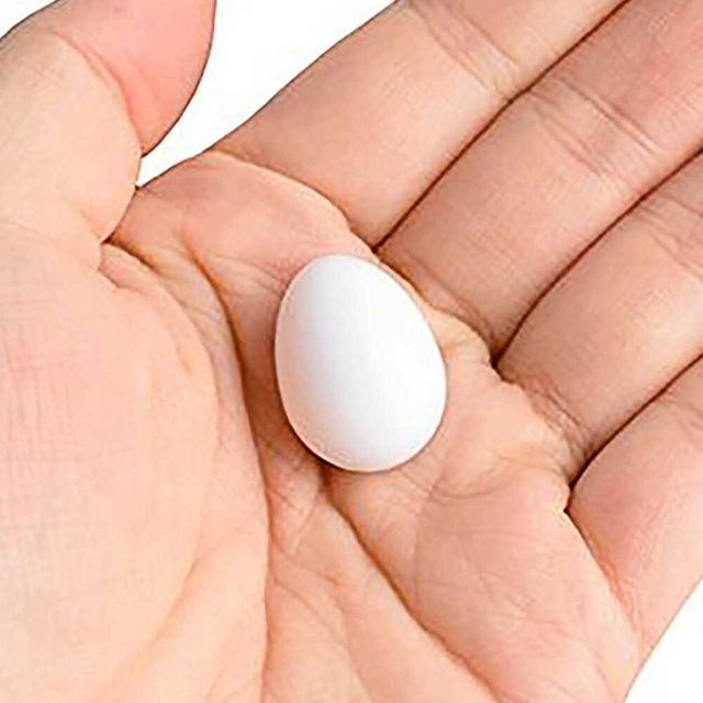 모형 조류알 미니어처 계란