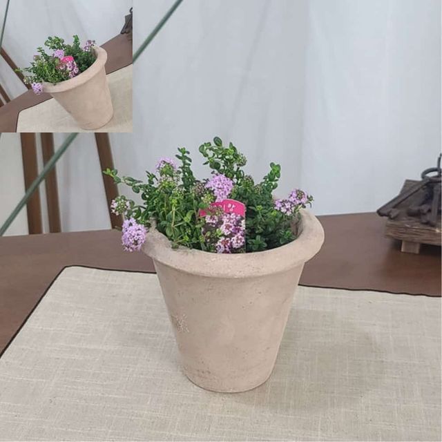 아쿠아 토분 13x15cm 콘 토분화분 인테리어화분 꽃화분 거실화분