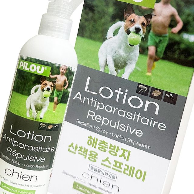 강아지벌레퇴치 강아지해충방지 강아지진드기퇴치