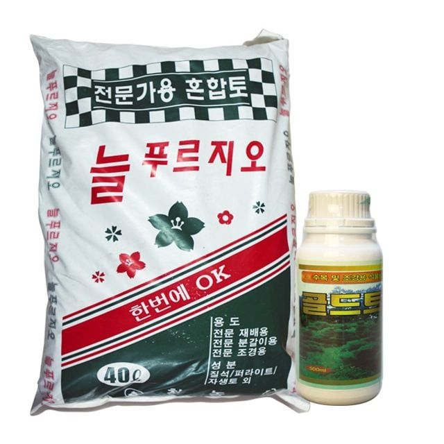 분갈이 대용량 대용량식물세트 식물활력분갈이 전문식물활력