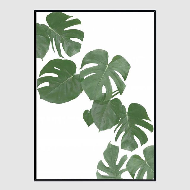 사무실액자 Monstera Aqua 02 A3 벽걸이 식물 인테리어
