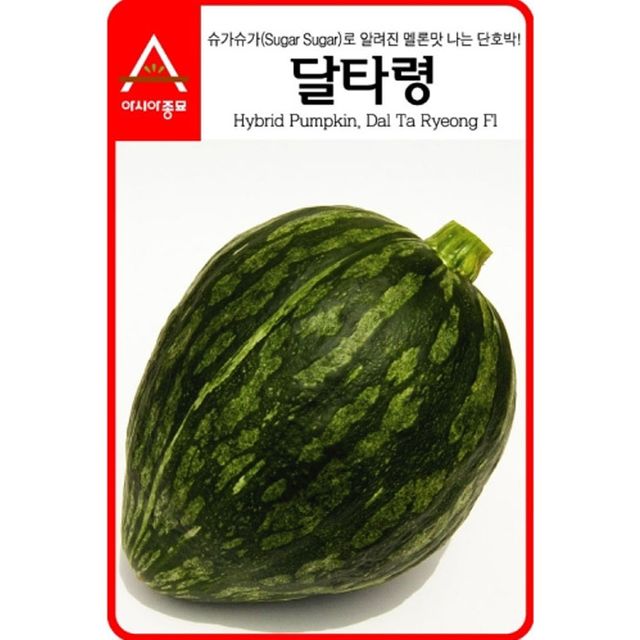호박씨앗 관상용 달타령호박 10립 종자