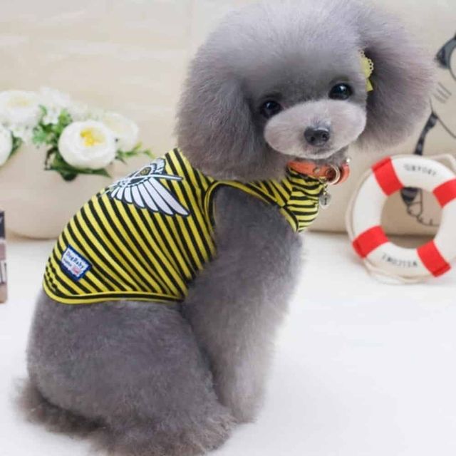 강아지 실내복 티셔츠 반려동물옷 펫의류 애견티셔츠
