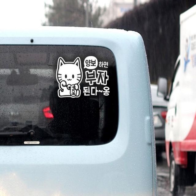 초보운전자 양보 반사 스티커, 입체 자동차 차량시트지