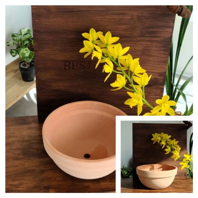베트남 토분 정반원 30x14cm 살구색 황토화분 황토토분 수입화분 토기화분