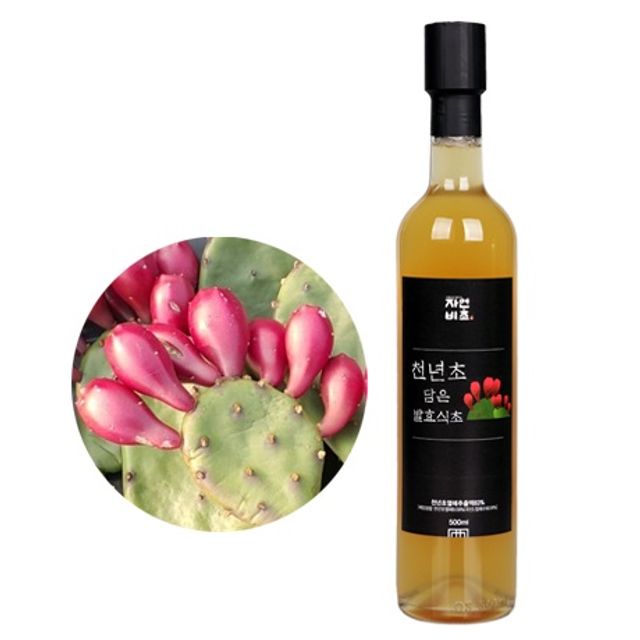 자연비초 천년초식초 500ml - 항염 및 혈당 조절 식초