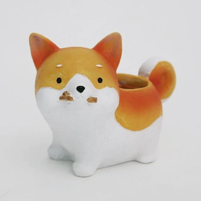 홈가든 강아지 미니화분 A형 다육이 선인장 식물 키우기