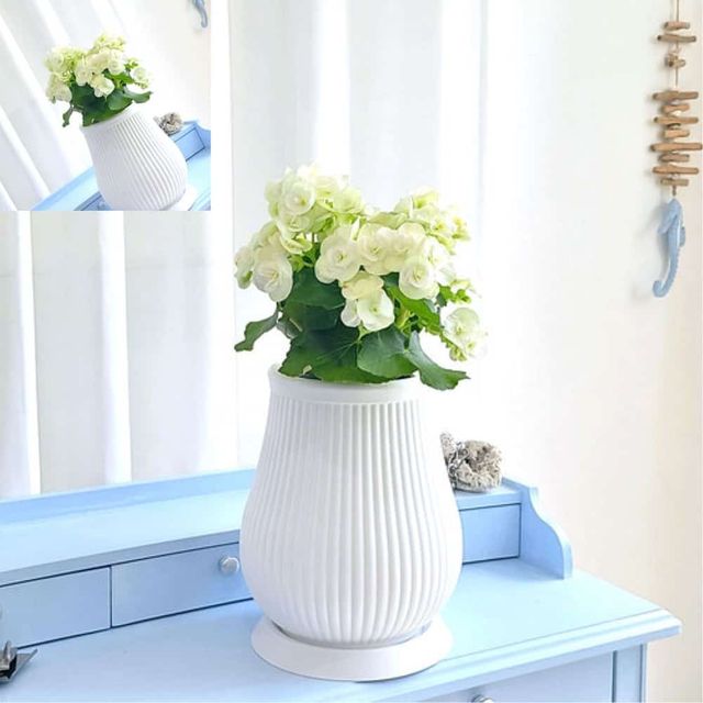 고강도 플라스틱 화분 20x30cm 세로줄 물병 미니화분 꽃화분 거실화분 인테리어화분