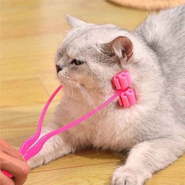 반려동물 마사지 롤러 고양이 얼굴 마사지 브러쉬 반려묘 다리 관리 스트레스 헬스케어 안마기 피부 안마
