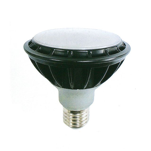 데이온 LED 15W PAR30 확산형 주광색 E26 전구