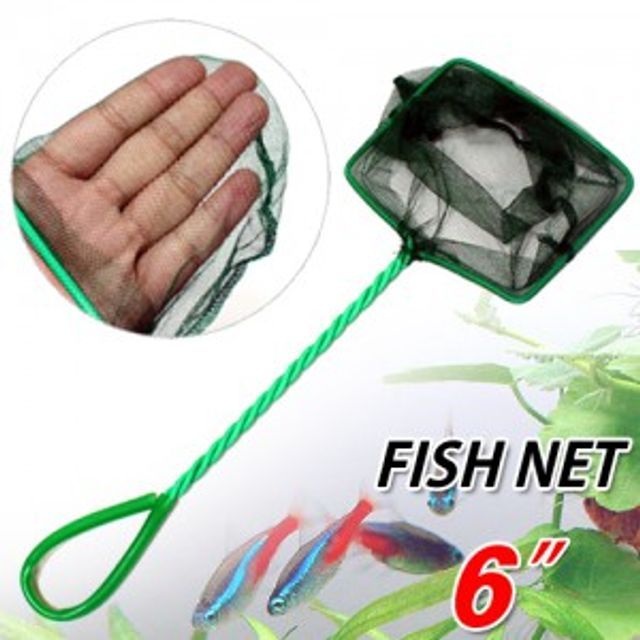 어항 뜰채(6in) 수조 수족관 물고기 이동 분리 청소 Fish Net