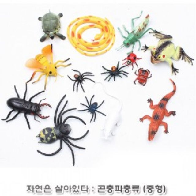 자연은살아있다 곤충파충류탐험 중형 815826B - 곤충 파충류 학습 장난감