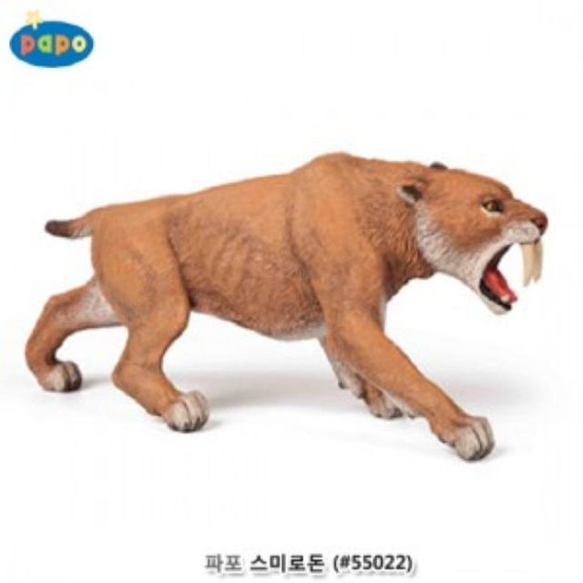 파포 스미로돈 유아용 사악이빨 호랑이 장난감