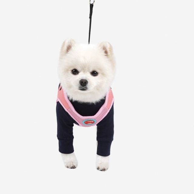 강아지 하네스 리드줄 세트 통풍 가슴줄 핑크
