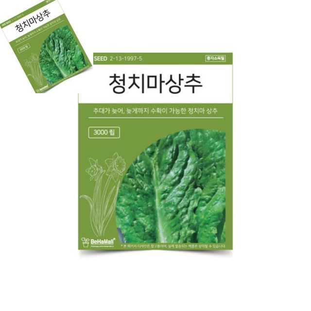 텃밭 채소 씨앗 청치마 상추 종자 야채