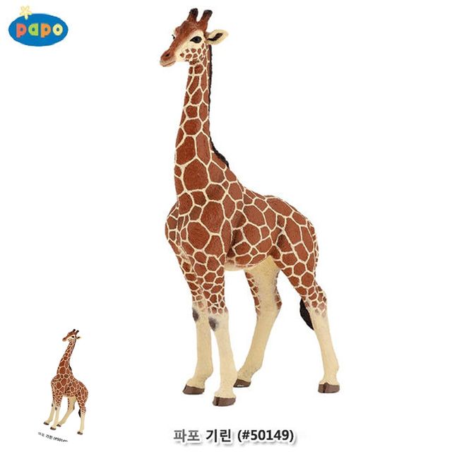 동물학습놀이 동물지식놀이 동물 모형완구 기린