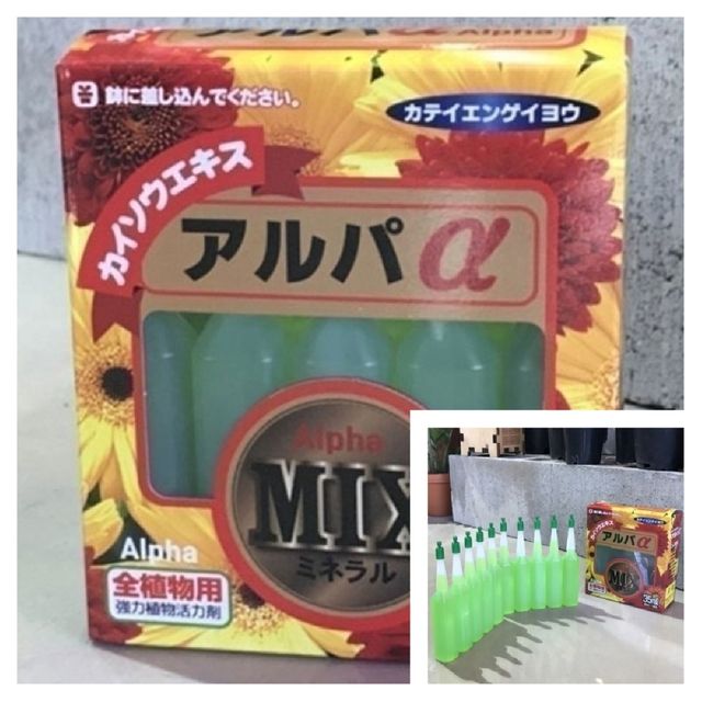 알파믹스 앰플 35ml x 10개 식물영양제 비료 퇴비 영양제