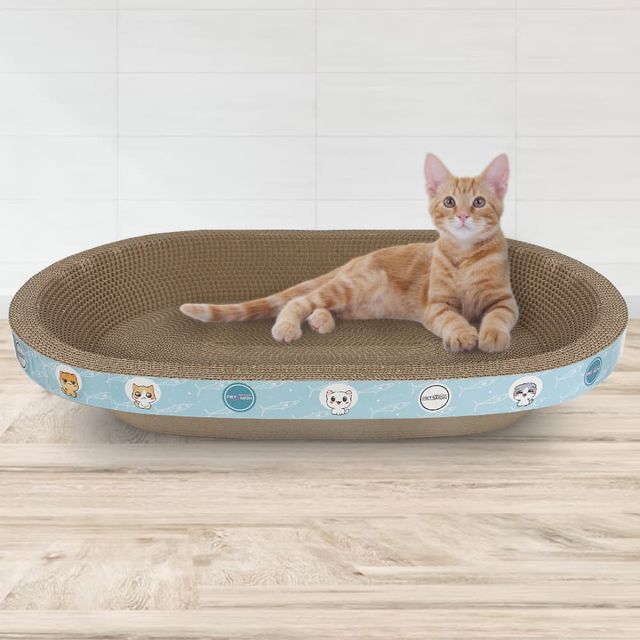 고양이 눕기편한 특대형 B골 스크래쳐 타원형 60cm