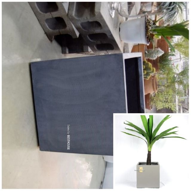 초대형화분 정사각 D50 50x50cm 네추럴시멘트 인테리어화분 사각화분 식물화분 베란다화분