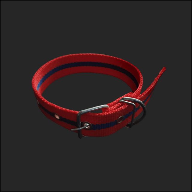 개목줄 PP 특대 30mm 빨강 대형 중형 넥밴드 나일론 애완견 개줄 목걸이 반려견목줄 나일론특대형 강아지30