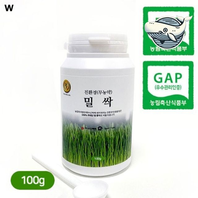 영양 가득 자연 건강 밀싹분말 100g 신선한