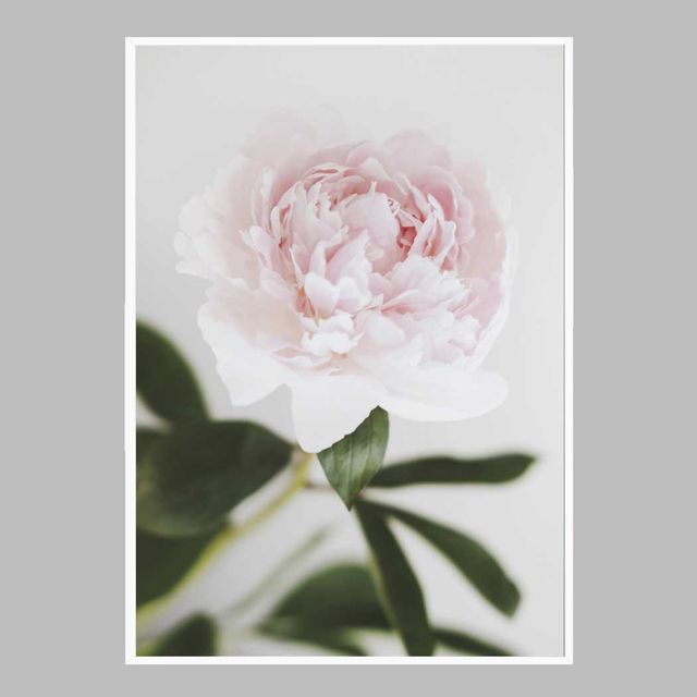 꽃 인테리어액자 flower No2 A2사이즈 - 벽걸이용 고급 프린트