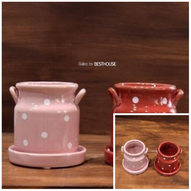 컬러 도기화분 유광도트 7x8cm 미니화분 인테리어화분 원형화분 식물화분