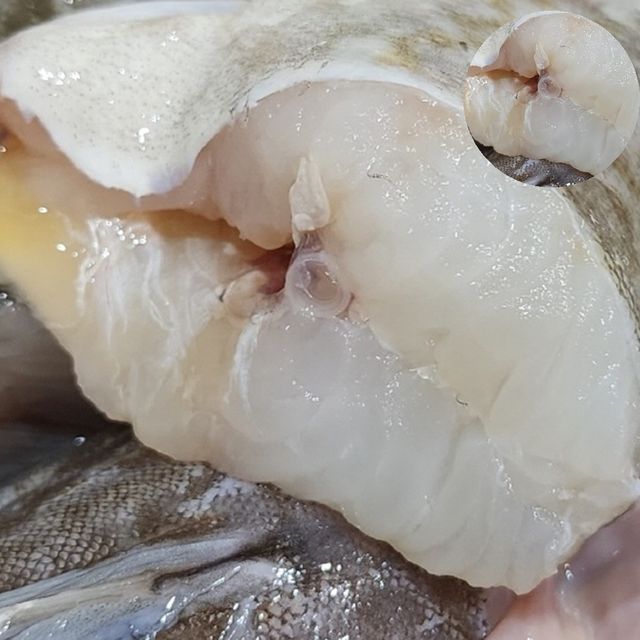 국내산대구 손질생선 대구 6kg