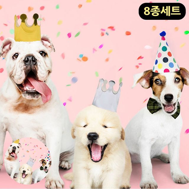 강아지고깔 고양이고깔모자 펫 이벤트 생일 고깔모자 8종세트