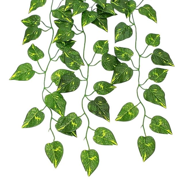 담쟁이 넝쿨 (90cm)