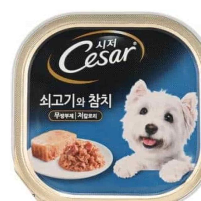 간식 캔 쇠고기 참치 100g 강아지습식사료 애견통조림 애견식품 강아지캔사료