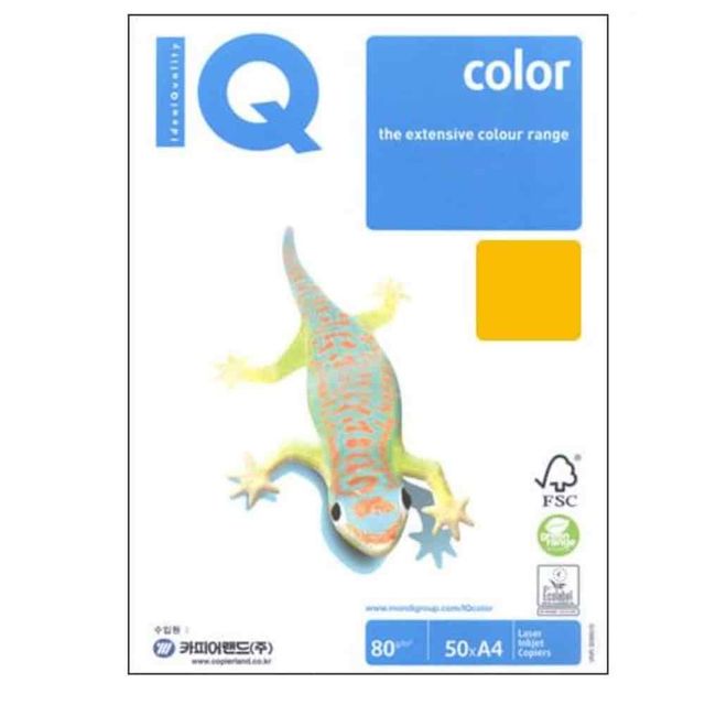 칼라용지 A4 진노랑 80g 50매 A4색지 A4도화지 색상지 색도화지