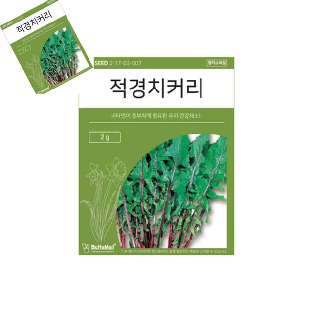 텃밭 채소 씨앗 적경 치커리 치커리씨앗 치커리키우기 야채씨앗 텃밭용품