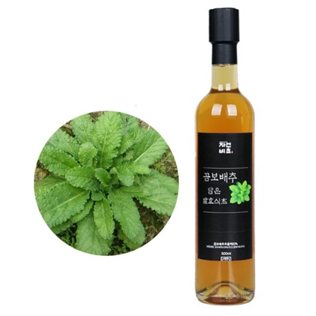 자연비초 곰보배추식초 500ml - 식이섬유 풍부한 건강식초