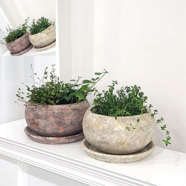 베트남 컬러 토분 화분 분재 21x13cm 인테리어화분 꽃화분 거실화분 인테리어토분