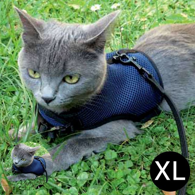 개가슴줄 중형견하네스 조깅 하네스 네이비 XL 고양이 강아지용