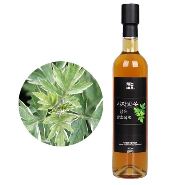 자연비초 사자발쑥식초 500ml - 해독 및 간 건강 발효식초