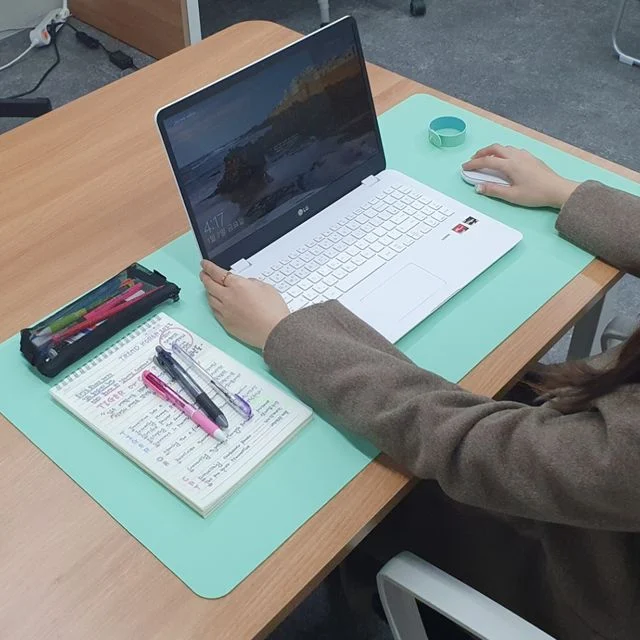양면 가죽 장패드 데스크매트 소프트그린 - 고급 마우스패드