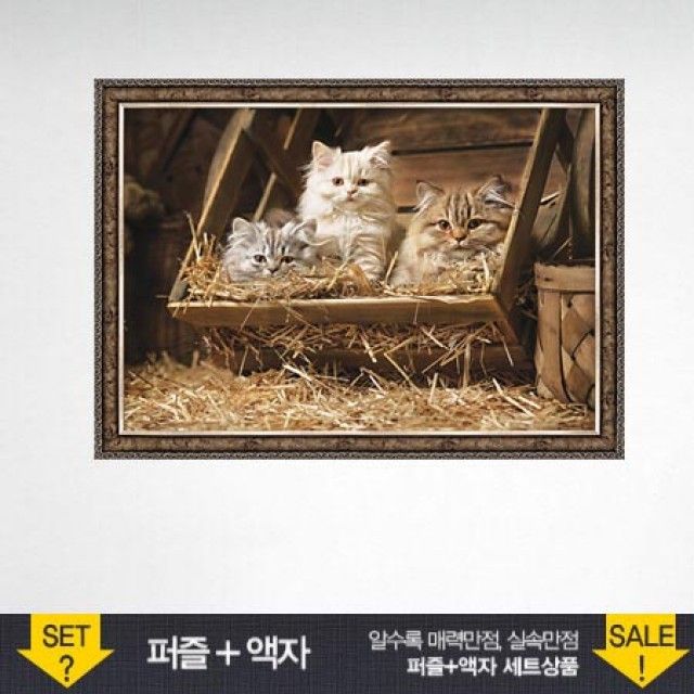 500피스 직소퍼즐 낡은 배럴의 고양이들 액자포함