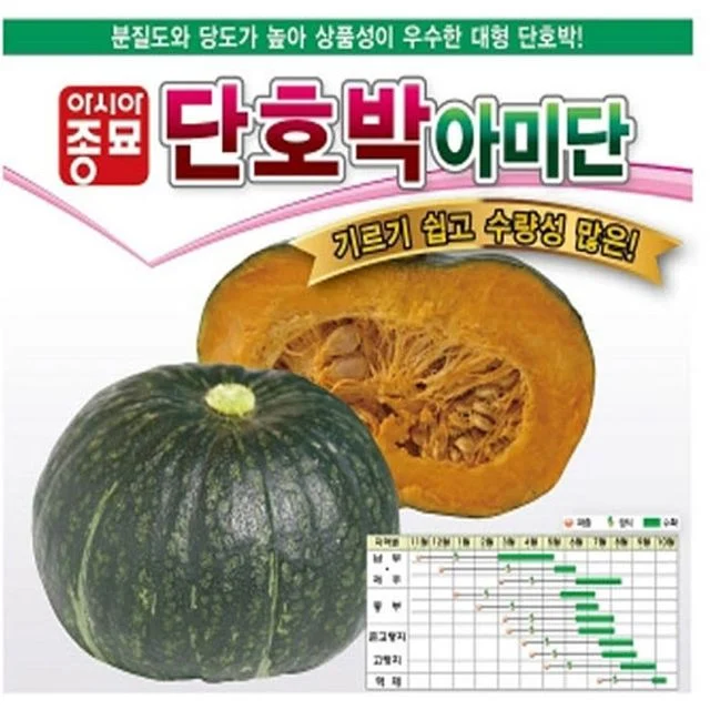 단호박씨앗 아미단 40립 호박종자