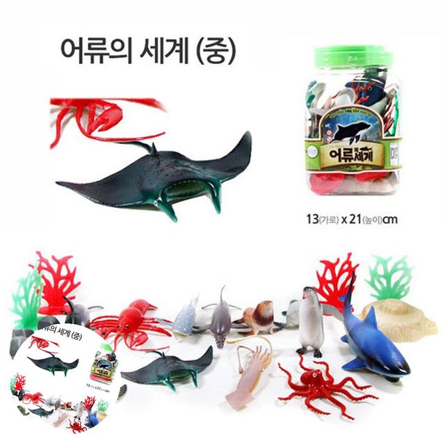 동물교육놀이 동물학습놀이 어류의세계 중