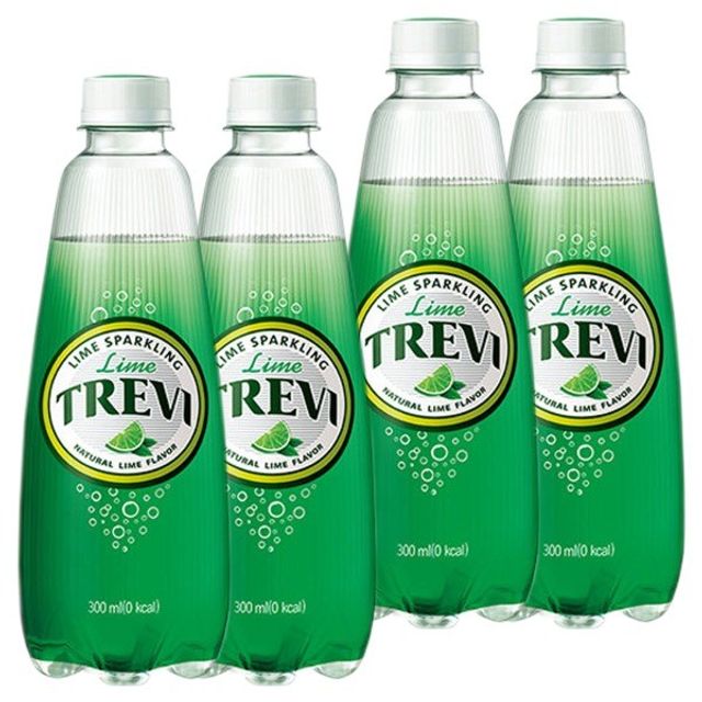 롯데 트레비 라임 300ml 40페트 대용량 탄산수 박스
