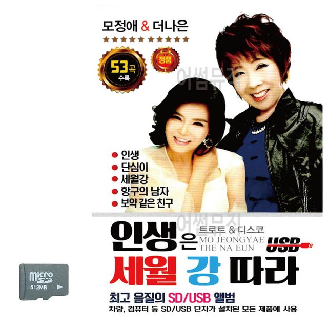 인생은 세월 강 따라 SD 노래