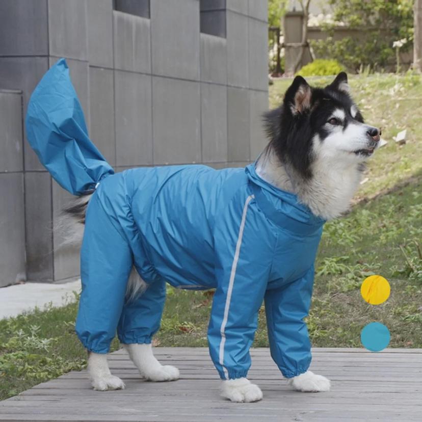 대형견 레인코트 10XL - 애견 우비 바람막이 비옷