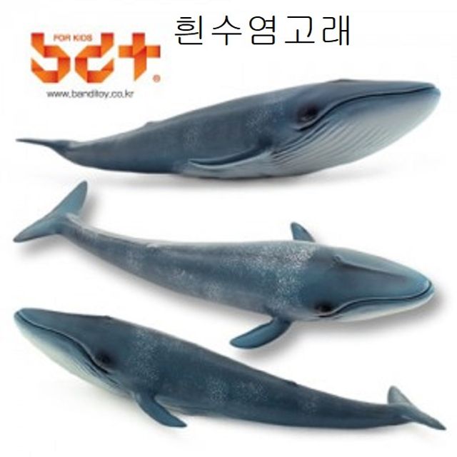 모형 흰수염고래 피규어 교구 - 해양 생물 학습 교구
