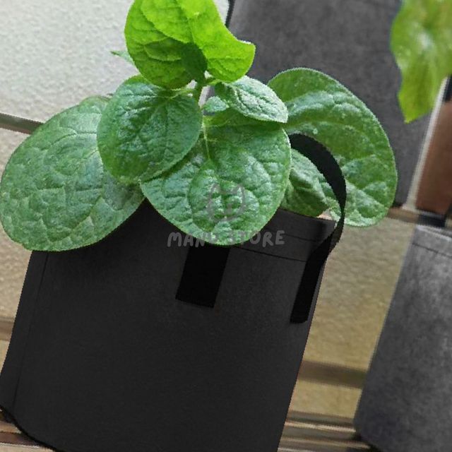 거실화분 텃밭화분 부직포 화분 2p세트 40x30cm 블랙
