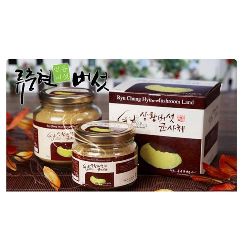 국산 상황버섯 균사체 300g 건강 분말 가루