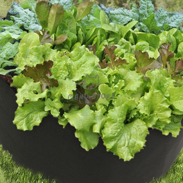 로즈마리화분 깔끔한화분 베란다 텃밭 부직포 화분 80x30cm 블랙