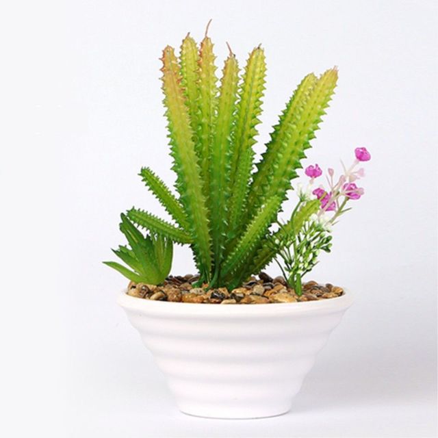 작은정원 선인장 미니 조화화분