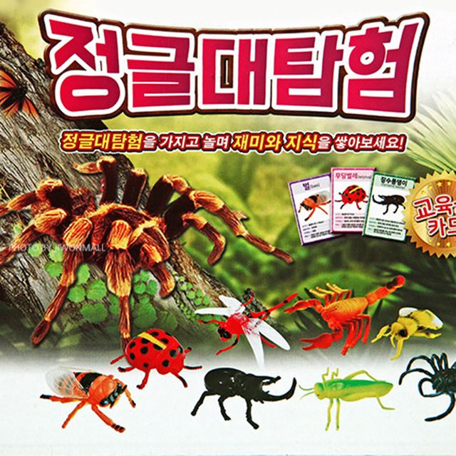 정글대탐험 - 열대우림 동물 학습 소꿉놀이 세트